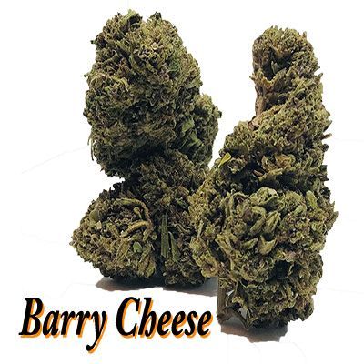 Barry Cheese